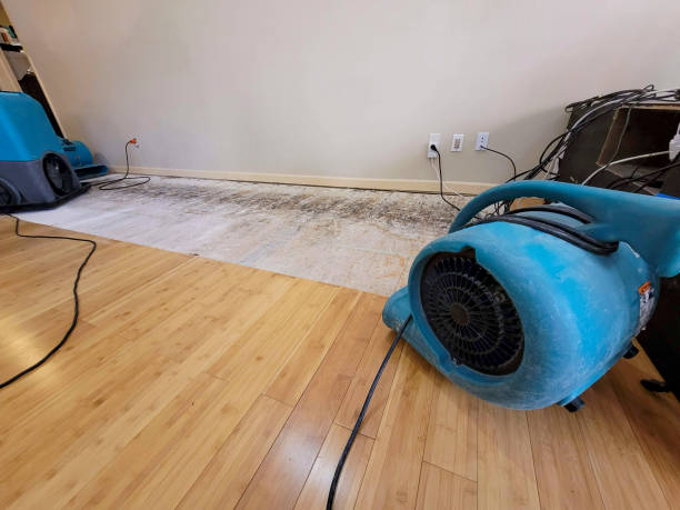 Professional Water Extraction technician working in Jacksonville Beach, FL